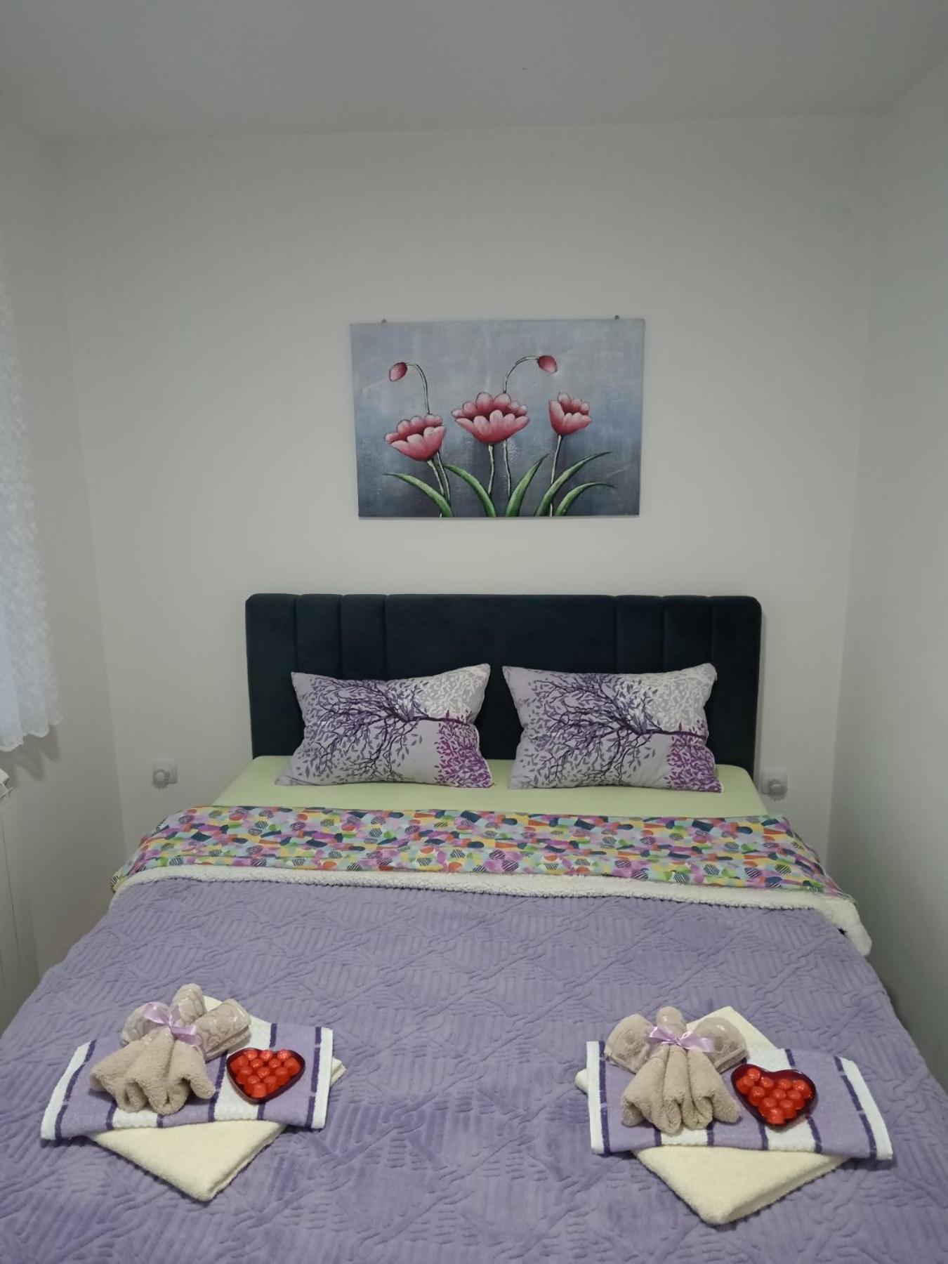 Apartman Lara Pirot Pokój zdjęcie
