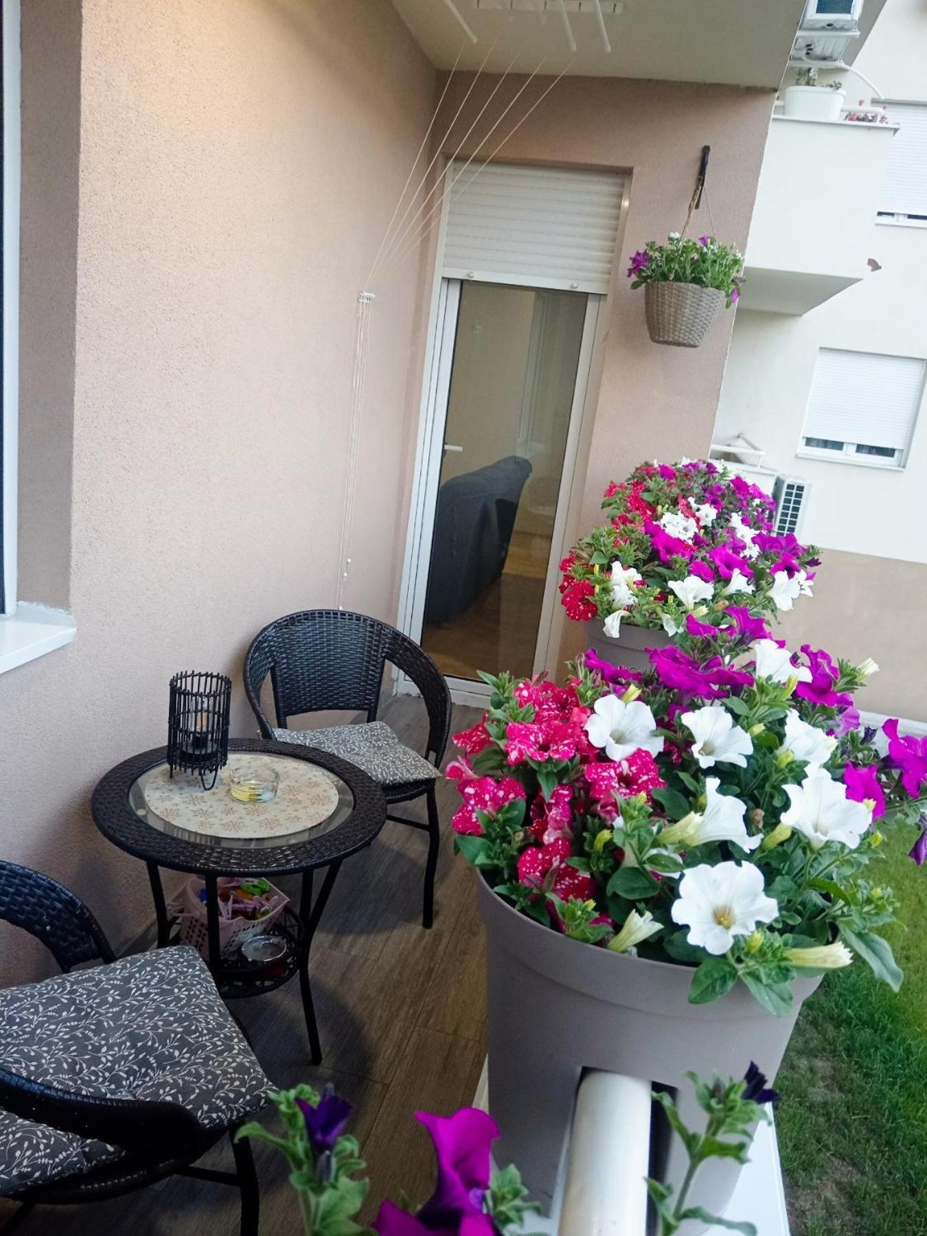 Apartman Lara Pirot Zewnętrze zdjęcie