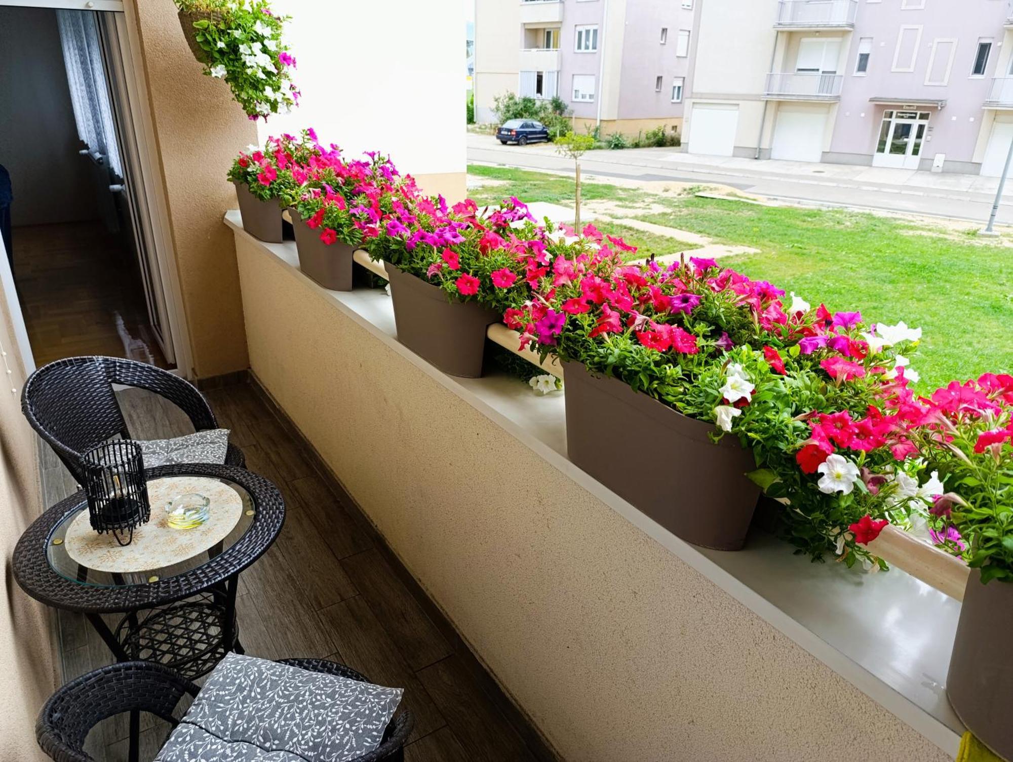 Apartman Lara Pirot Zewnętrze zdjęcie